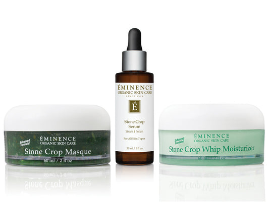 Staff Picks "Stone Crop Lover - 垂盆草愛好者"