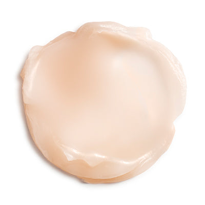 Camellia Glow Solid Face Oil 山茶花亮麗精華油霜 30ml