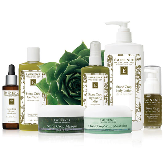 Stone Crop Whip Moisturizer 垂盆草補濕面霜 3ml
